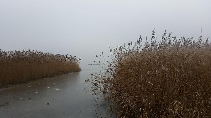 Fischerwiege am Passader See - Genel