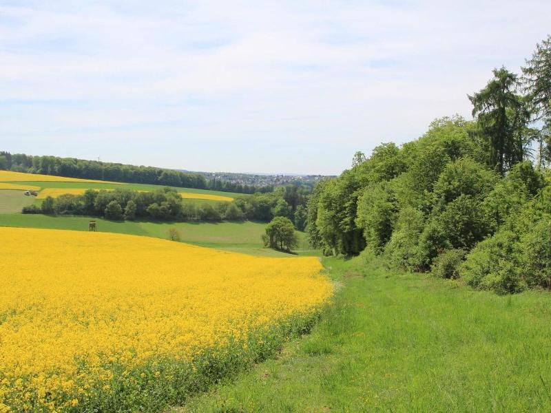 Landgasthof Gemmer - Aktivite