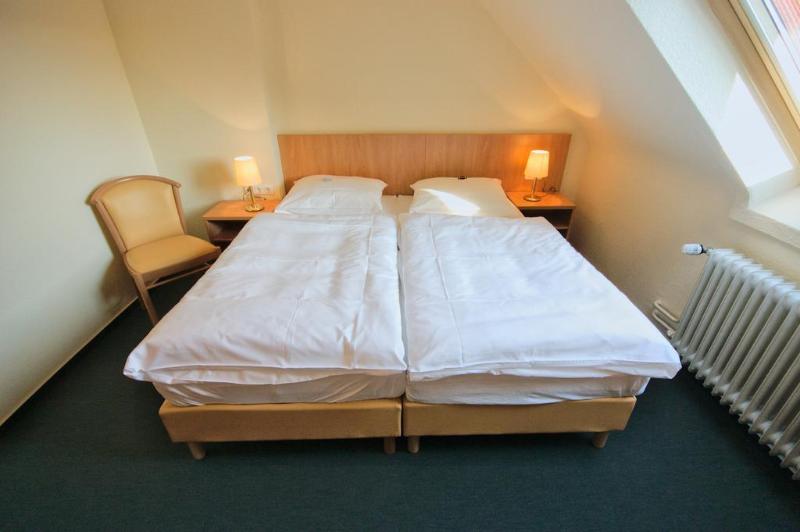 Wiking - Genel