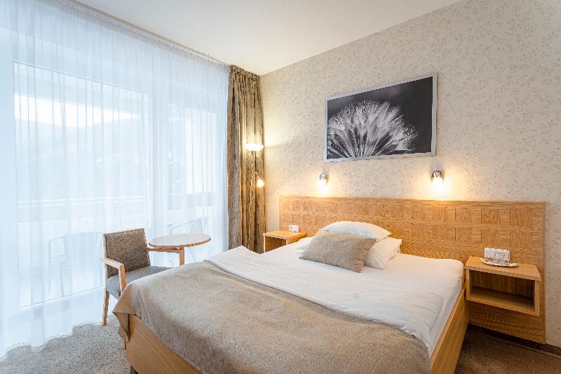 Hotel Behounek Jachymov - Oda