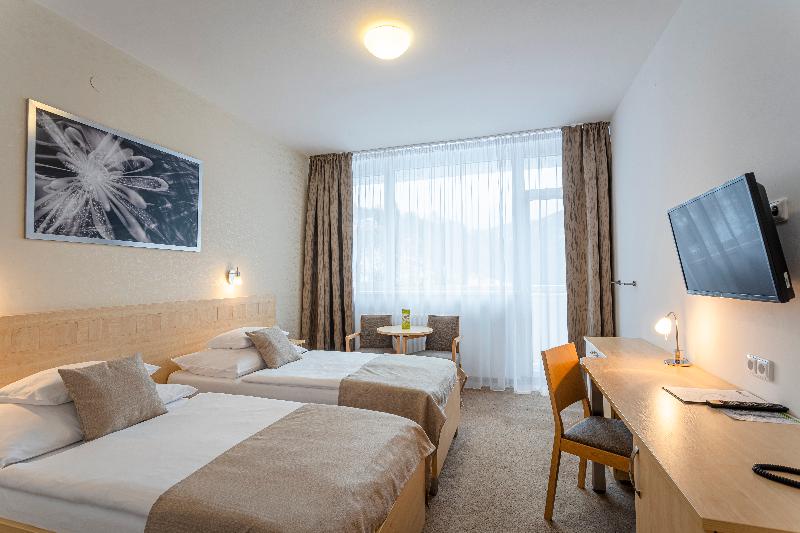 Hotel Behounek Jachymov - Oda