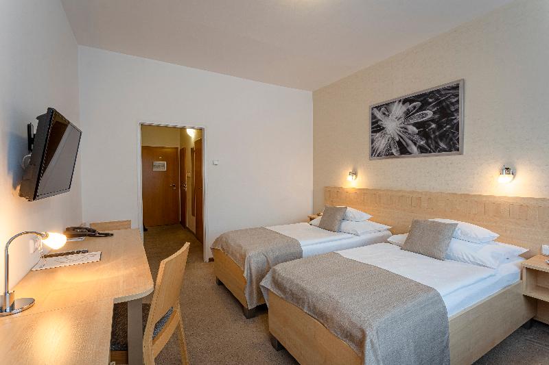 Hotel Behounek Jachymov - Oda