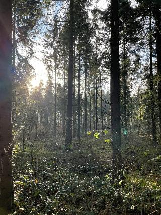 Heidegrund fotoÄŸrafÄ±