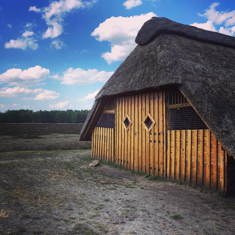 Heidegrund - Plaj