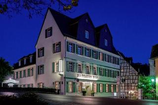 Nassauer Hof otel fotoğrafı