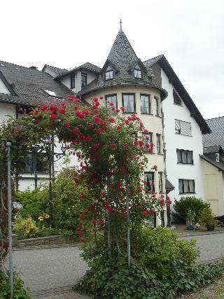 Zum Rehberg fotoÄŸrafÄ±