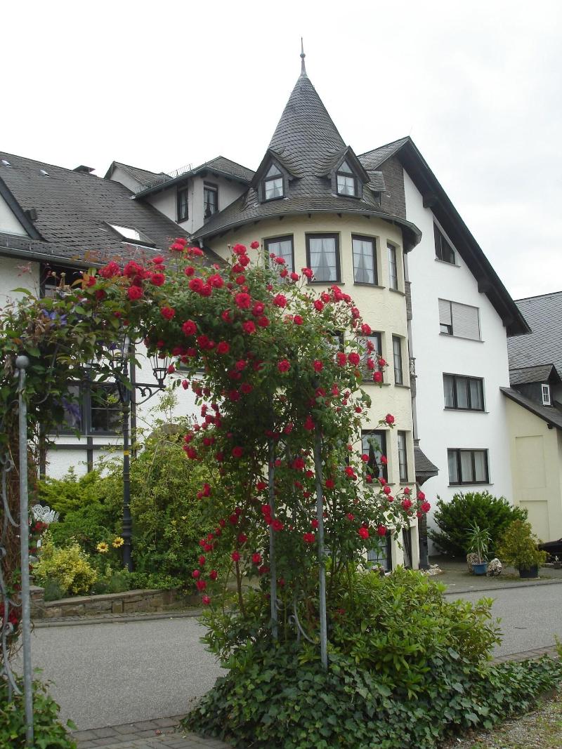 Zum Rehberg - Genel