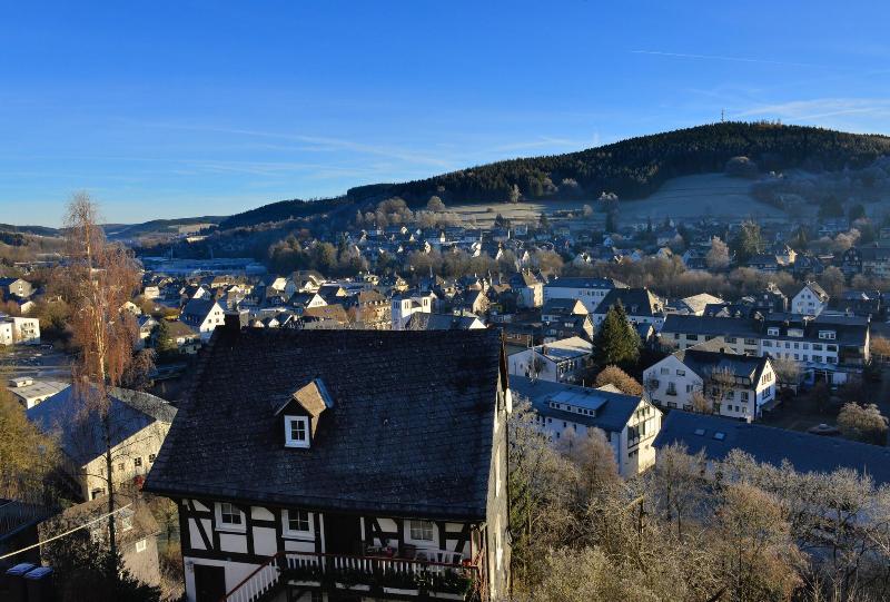 Alte Schule - Genel