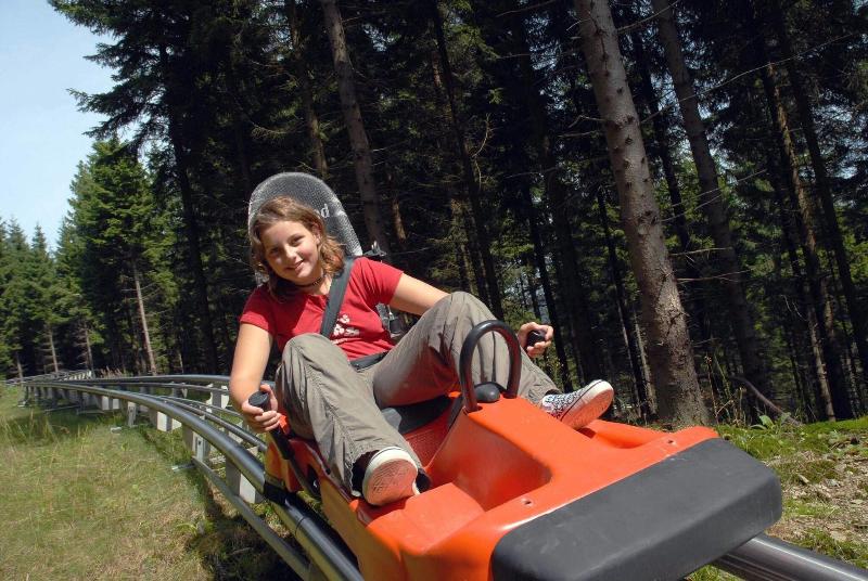 Fletcher Parkhotel Olsberg-Winterberg - Aktivite