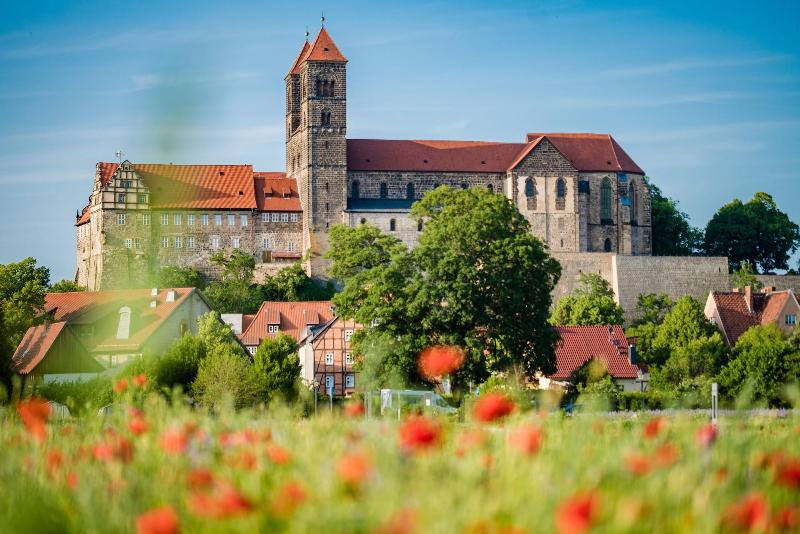 Romantik Am Brühl - Genel