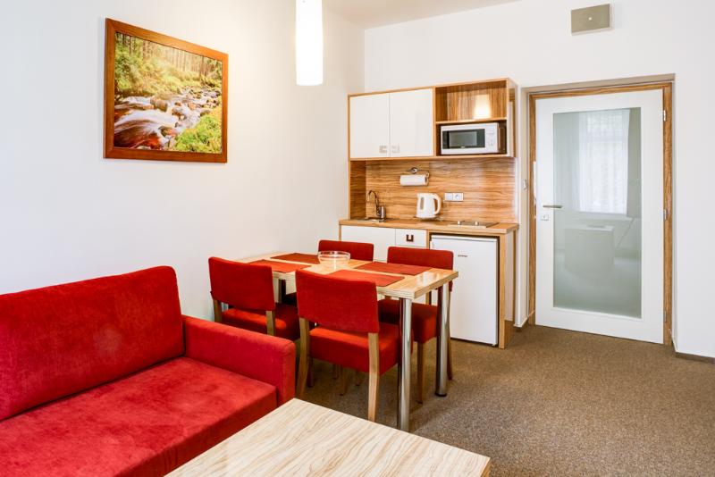 Astoria Hotel Jachymov - Oda