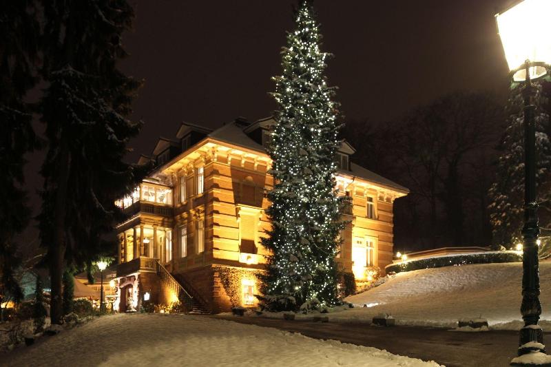 Villa Hammerschmiede - Genel