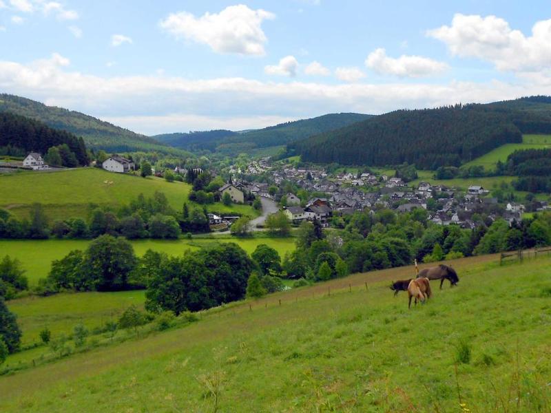 Hotel Niedersfeld - Genel