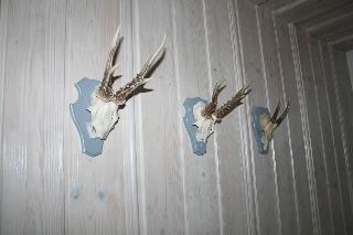 Landhaus Foresta fotoÄŸrafÄ±
