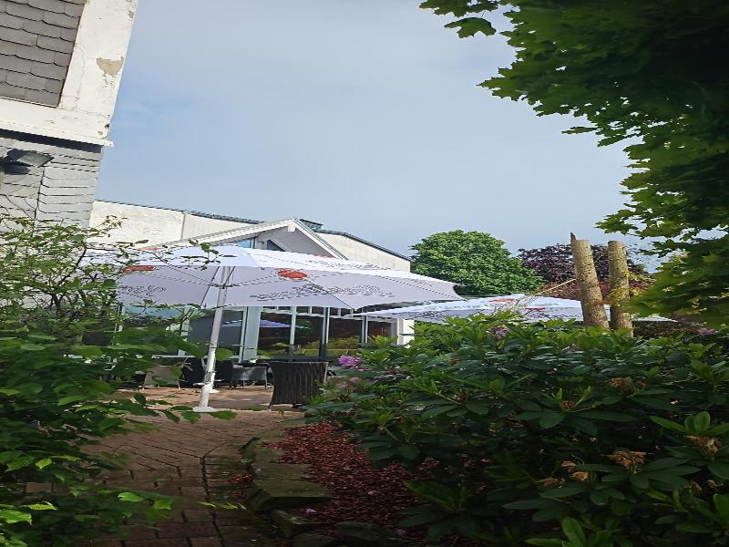 Ringhotel Posthotel Usseln - Genel
