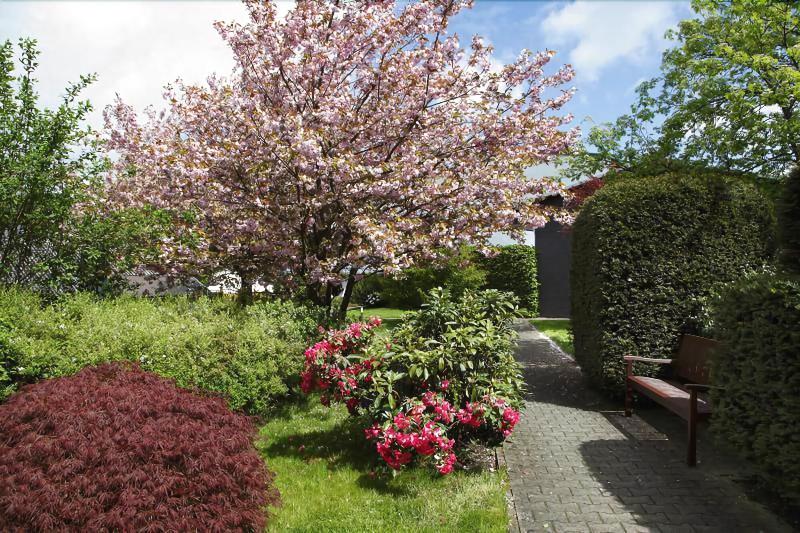 Ringhotel Posthotel Usseln - Genel
