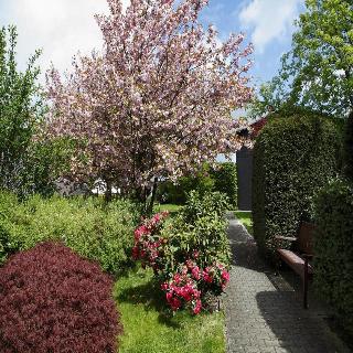Ringhotel Posthotel Usseln fotoÄŸrafÄ±