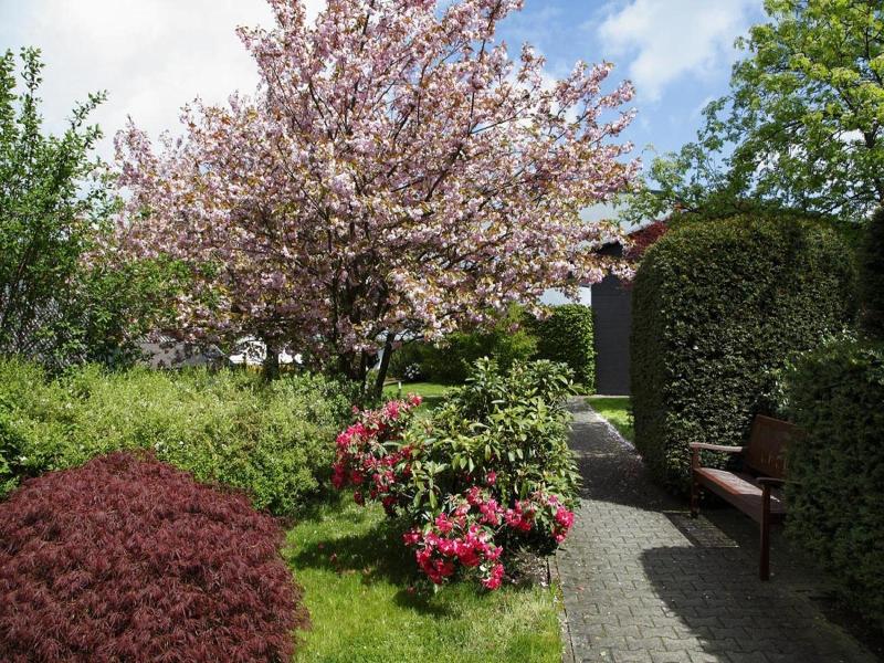 Ringhotel Posthotel Usseln - Genel