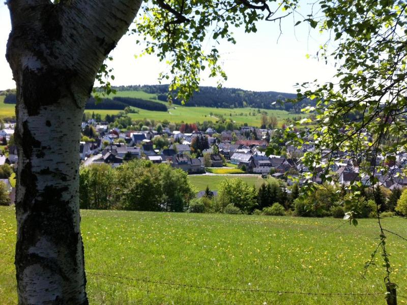 Ringhotel Posthotel Usseln - Genel