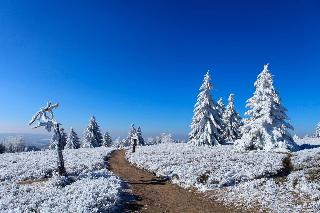 Hapimag Resort Winterberg fotoÄŸrafÄ±