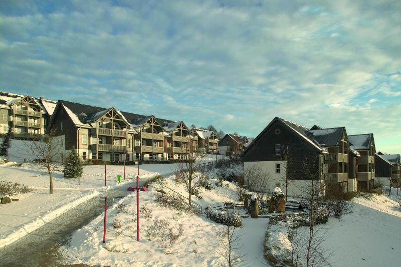 Hapimag Resort Winterberg - Genel