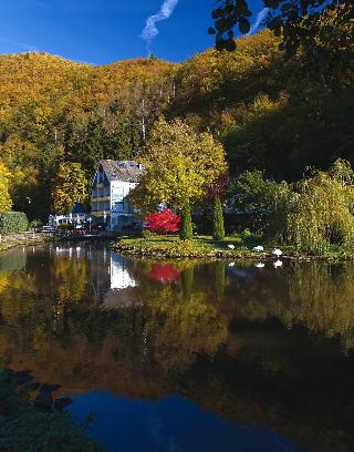 Am Schwanenweiher fotoÄŸrafÄ±