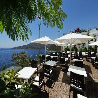 Kalamar fotoÄŸrafÄ±
