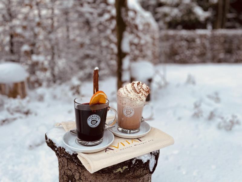 AVITAL Resort Winterberg - Bar