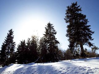AVITAL Resort Winterberg fotoÄŸrafÄ±