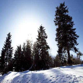 AVITAL Resort Winterberg fotoÄŸrafÄ±