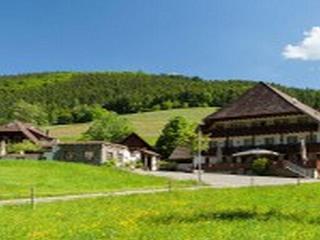 Landgasthaus Grüner Baum otel fotoğrafı