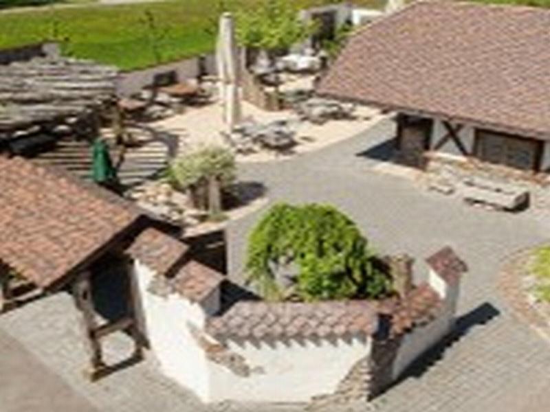 Landgasthaus Grüner Baum - Genel