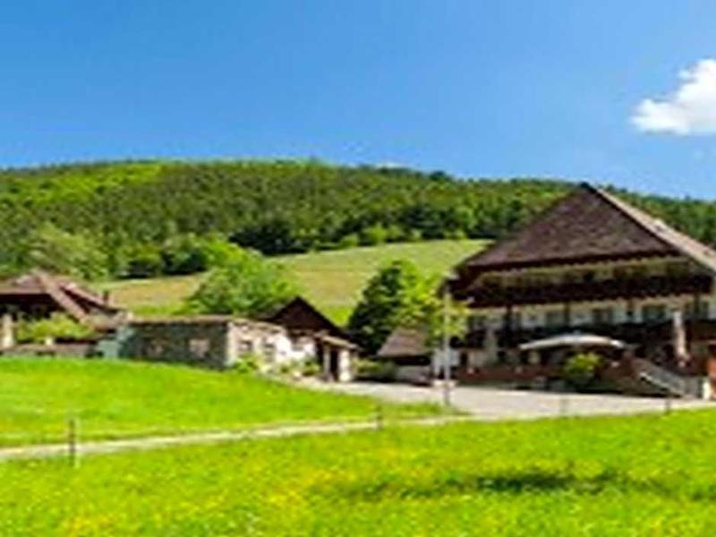 Landgasthaus Grüner Baum - Genel