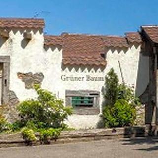 Landgasthaus Grüner Baum fotoÄŸrafÄ±