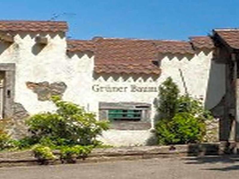 Landgasthaus Grüner Baum - Genel