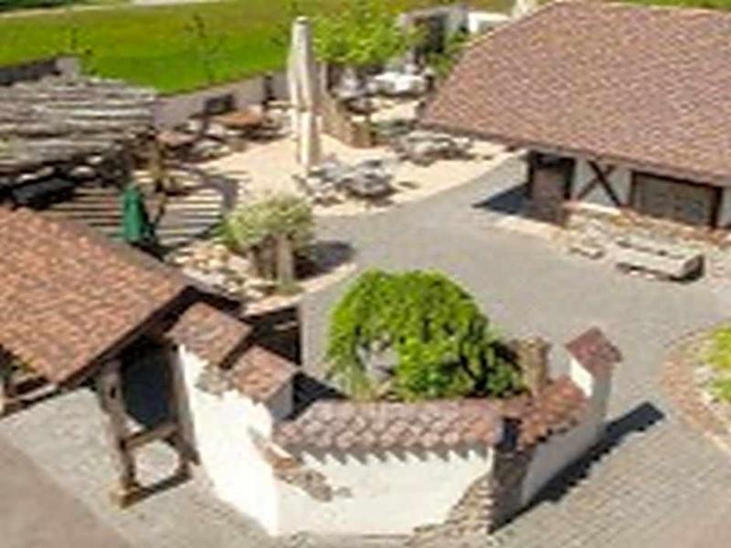 Landgasthaus Grüner Baum - Genel