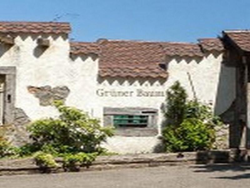 Landgasthaus Grüner Baum - Genel
