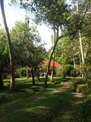 Joy Bungalow fotoÄŸrafÄ±