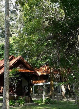 Joy Bungalow fotoÄŸrafÄ±