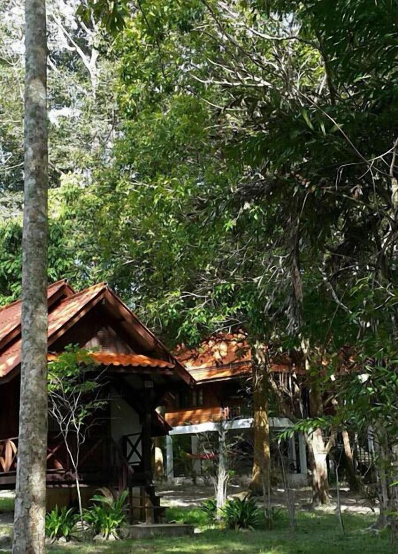 Joy Bungalow - Genel