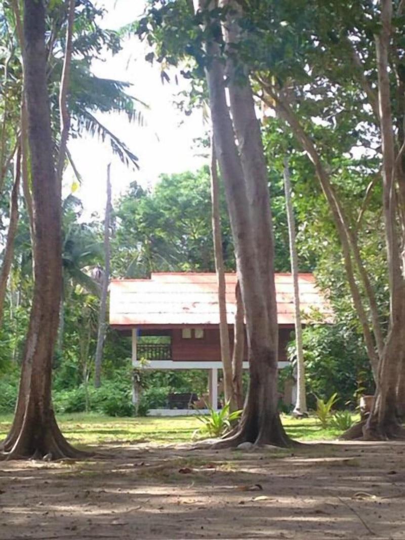 Joy Bungalow - Genel
