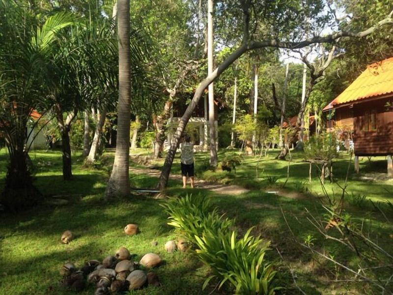 Joy Bungalow - Genel