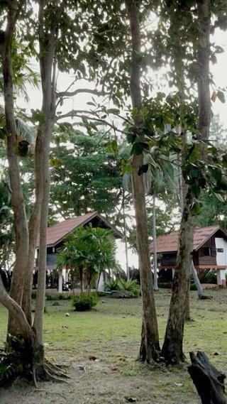 Joy Bungalow fotoÄŸrafÄ±