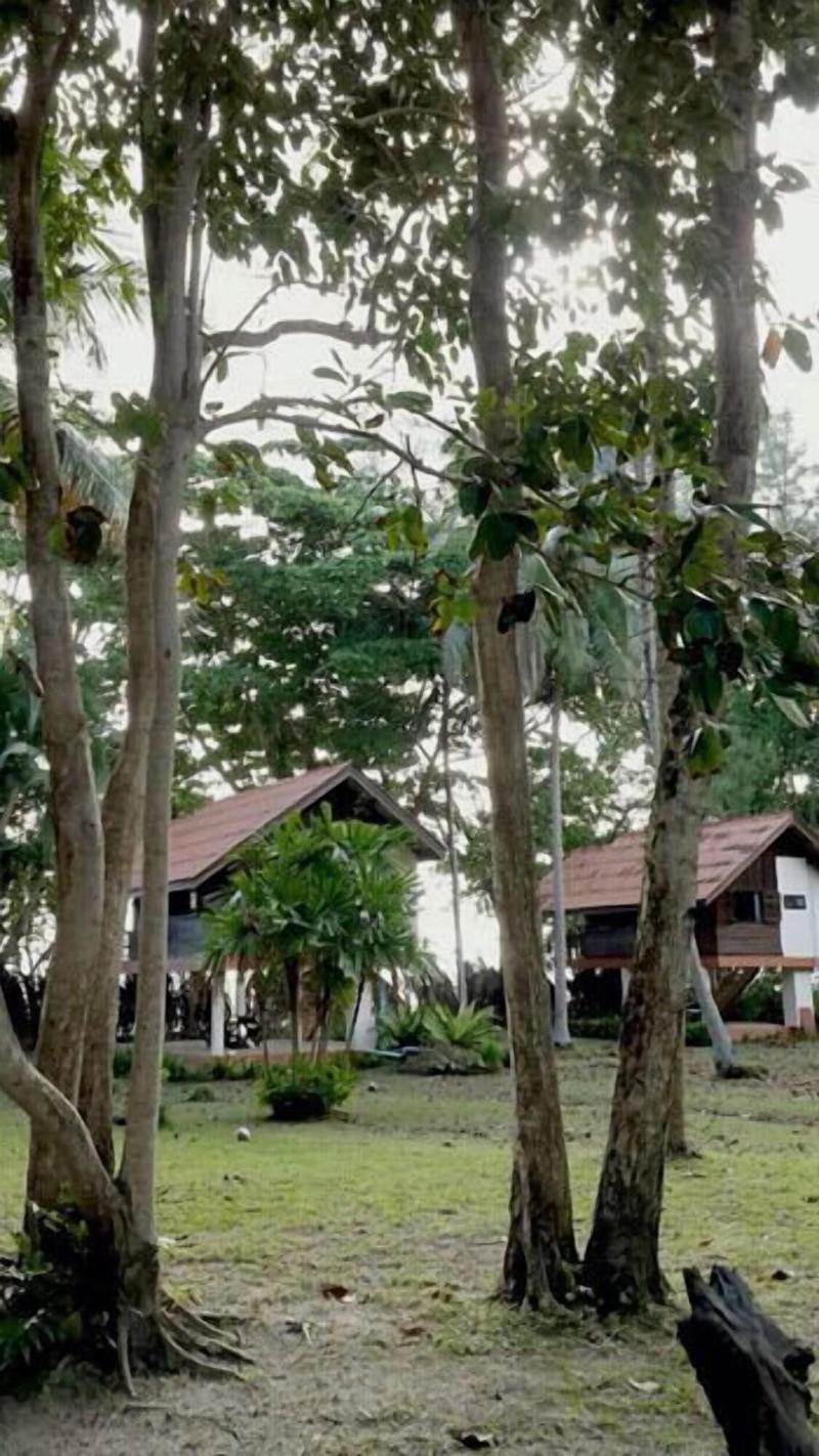 Joy Bungalow - Teras