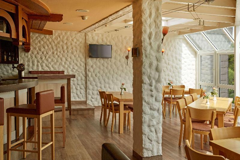 H+ Hotel Willingen - Bar