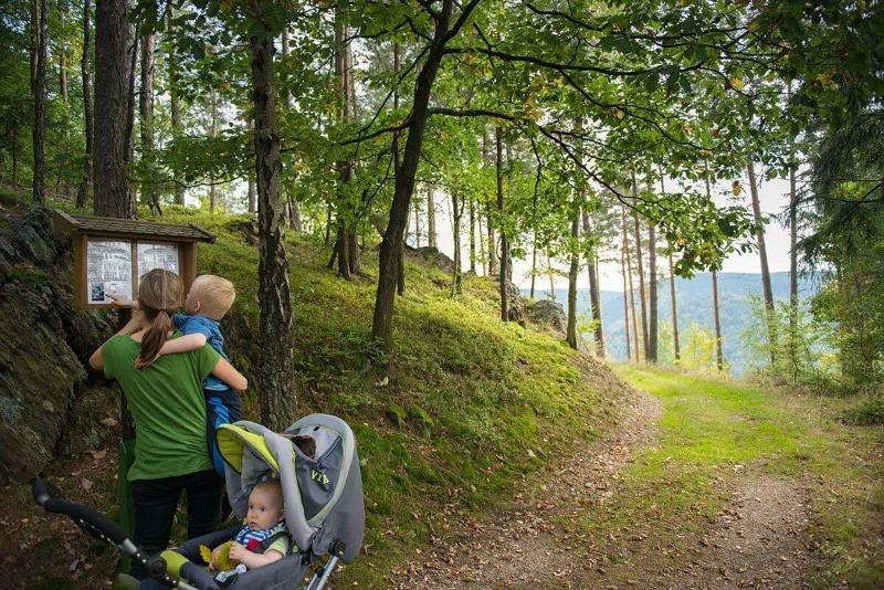 Flair Waldhotel Mellestollen - Aktivite