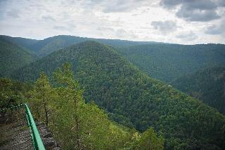 Flair Waldhotel Mellestollen fotoÄŸrafÄ±