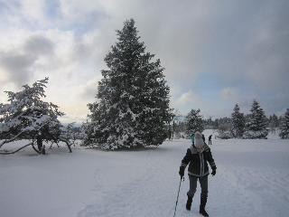 Landgasthof Gilsbach fotoÄŸrafÄ±