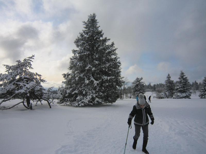 Landgasthof Gilsbach - Aktivite