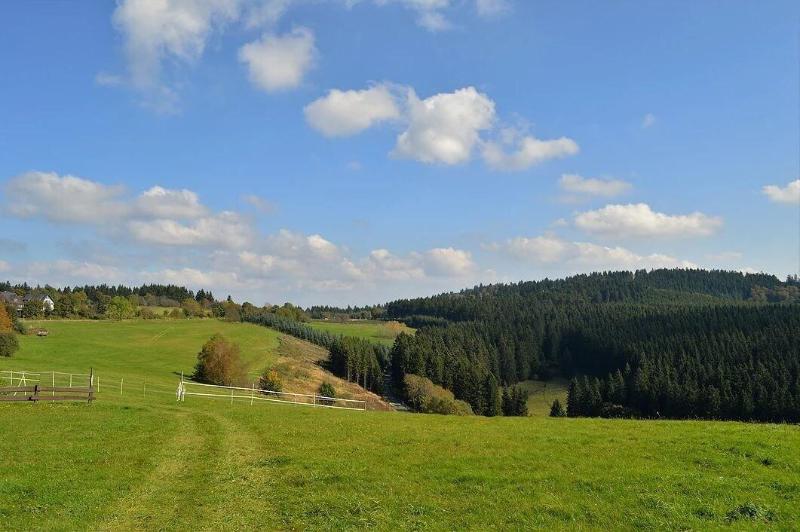 Landhotel Altastenberg - Genel